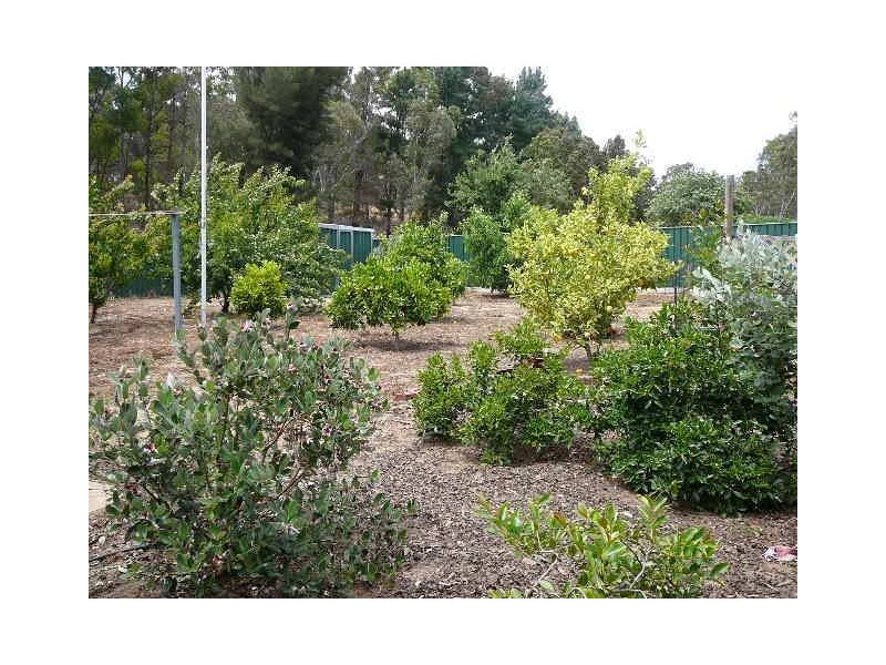 10 Nix Street, Boyup Brook WA 6244