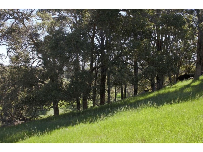 Lot 23 Yarri Brow, Bridgetown WA 6255