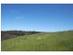 Lot 25 Yarri Brow, Bridgetown WA 6255
