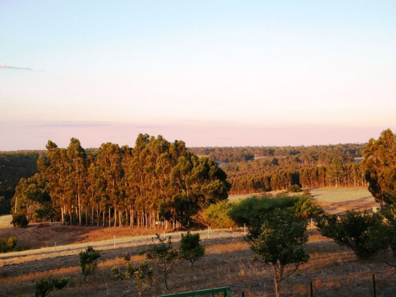 Lot 64 Elwins Road, Bridgetown WA 6255