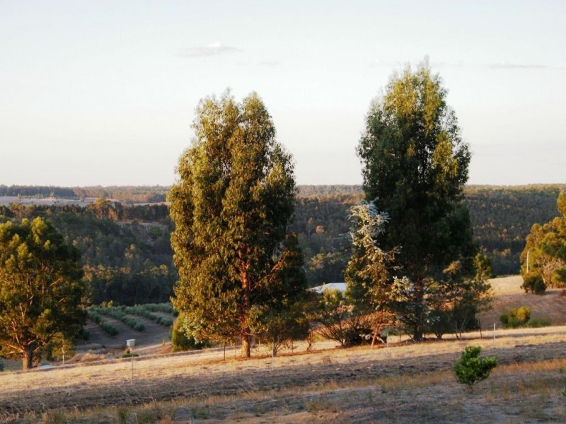 Lot 64 Elwins Road, Bridgetown WA 6255