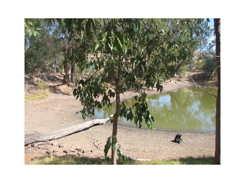 Lot 22 Cnr Waterford and Winnejup Road, Winnejup WA 6255