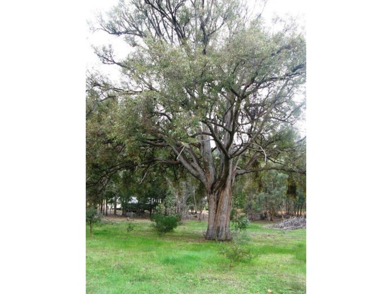 11 Rokewood Heights, Bridgetown WA 6255