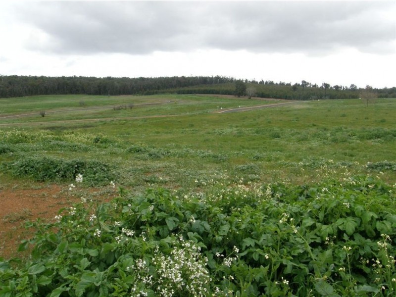 Lot 245 Aberdeen Avenue, Bridgetown WA 6255