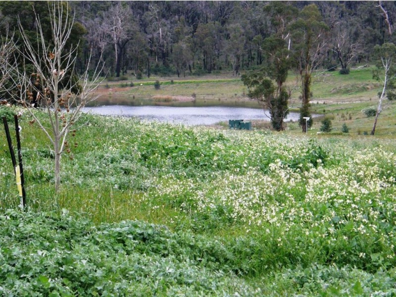 Lot 245 Aberdeen Avenue, Bridgetown WA 6255