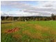 Lot 161 Balmoral Drive, Highland Estate, Bridgetown WA 6255