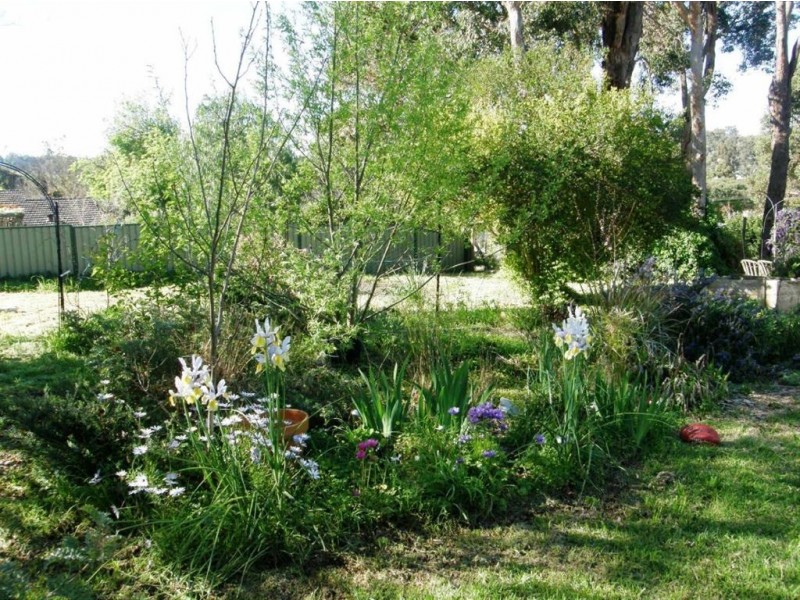 41 Blechynden Street, Bridgetown WA 6255
