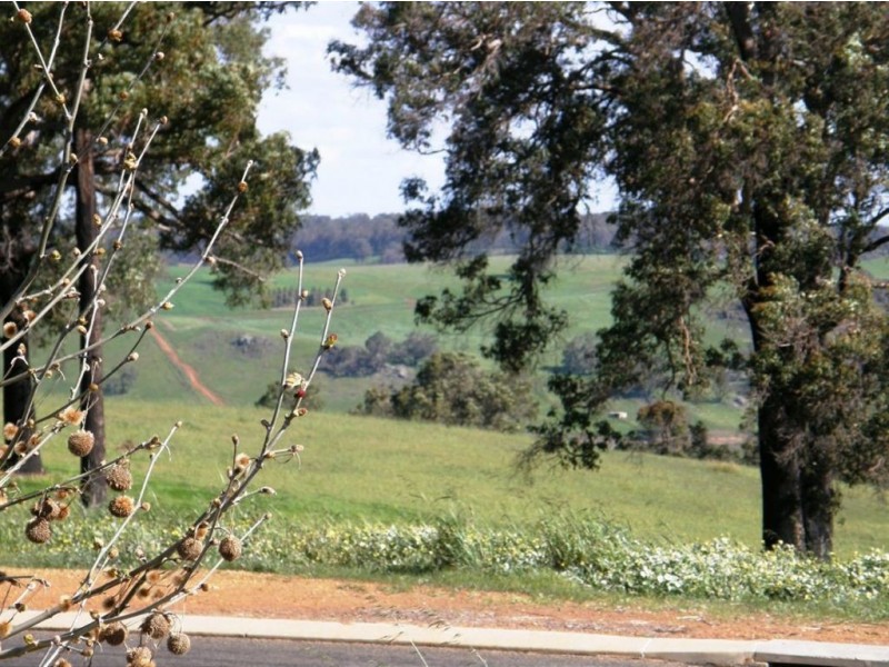 Lot 263 Aberdeen Avenue, Bridgetown WA 6255