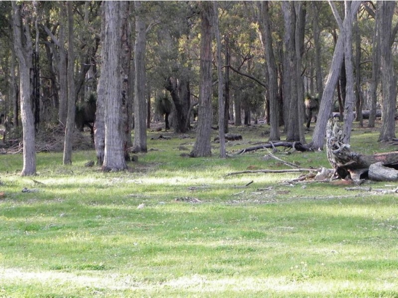 1573 Glentulloch Rd Sunnyside, Bridgetown WA 6255