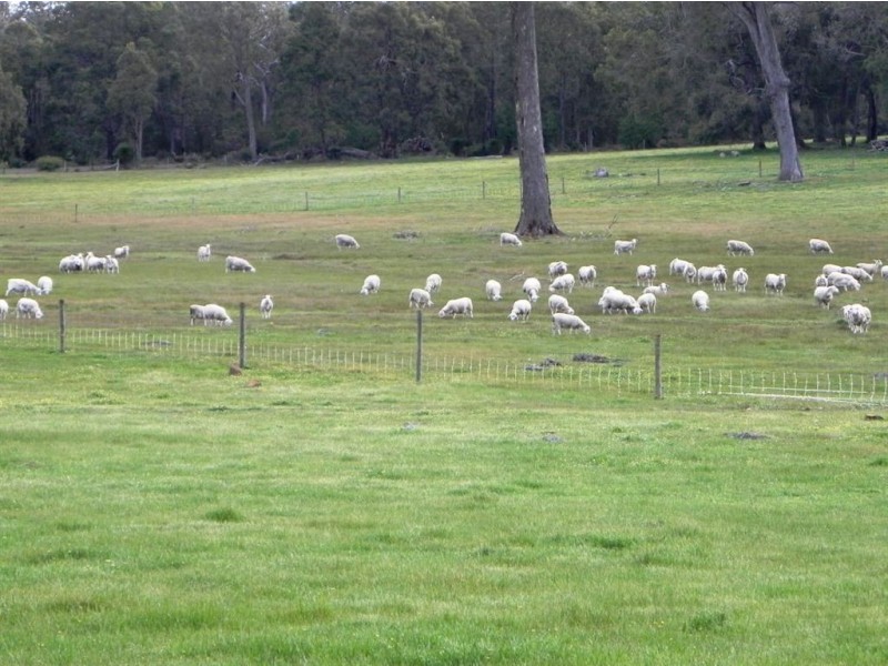 1573 Glentulloch Rd Sunnyside, Bridgetown WA 6255