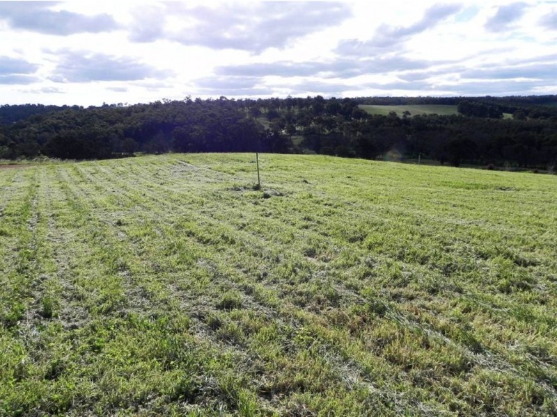 17 Yarri Brow, Bridgetown WA 6255