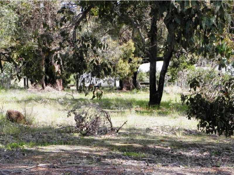 93 Blackwood Road, Greenbushes WA 6254