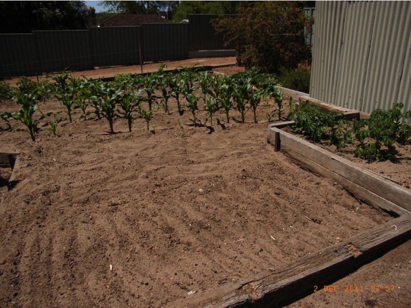 58 Williams Street, Boyup Brook WA 6244