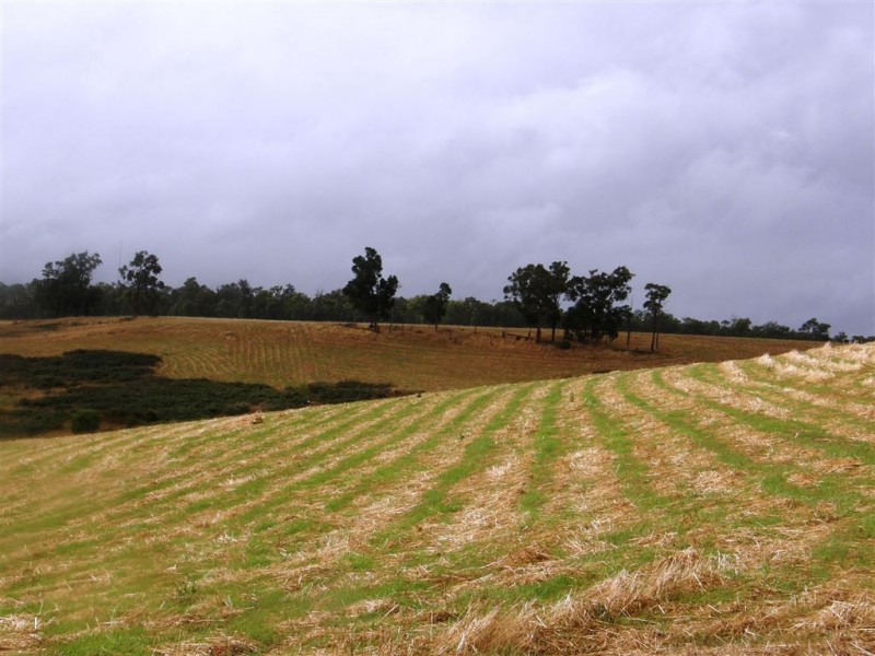 Lot 16 SUNRIDGE DRIVE, Bridgetown WA 6255