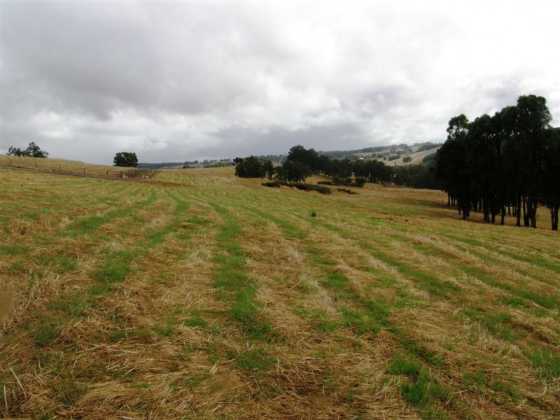 Lot 16 SUNRIDGE DRIVE, Bridgetown WA 6255