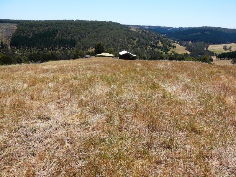 8102 Tweed, Bridgetown WA 6255