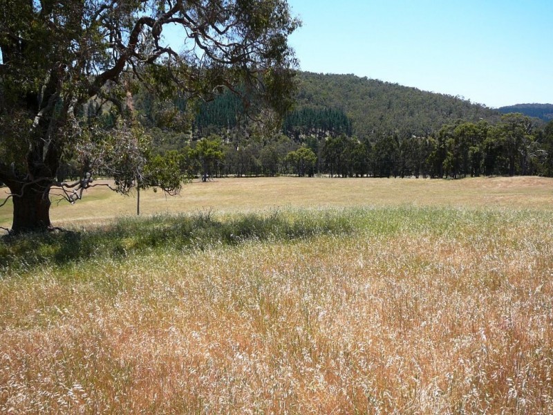 8102 Tweed, Bridgetown WA 6255