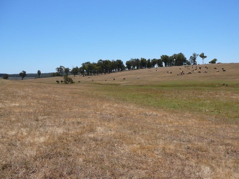 8102 Tweed, Bridgetown WA 6255