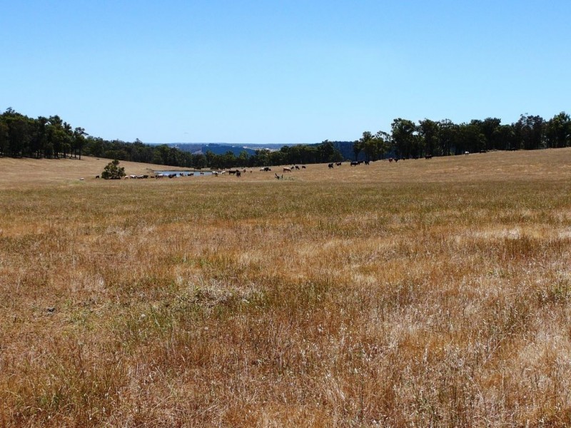 8102 Tweed, Bridgetown WA 6255