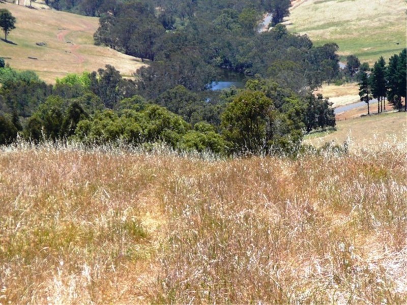 8102 Tweed, Bridgetown WA 6255