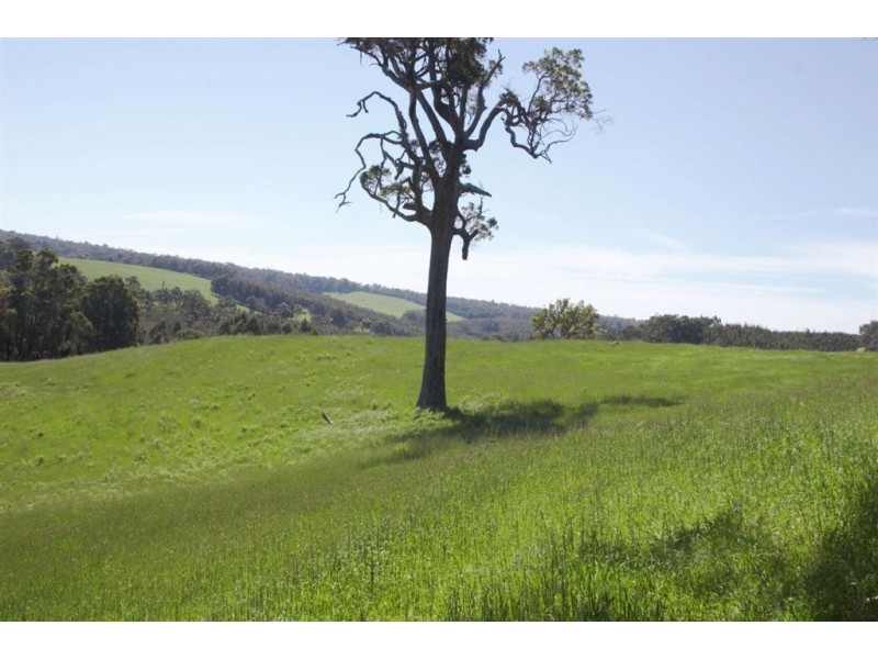 Lot 24 Yarri Brow, Kangaroo Gully, Bridgetown WA 6255