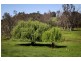1 Henderson Road, Kangaroo Gully, Bridgetown WA 6255