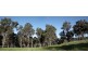 1 Henderson Road, Kangaroo Gully, Bridgetown WA 6255