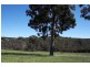 1 Henderson Road, Kangaroo Gully, Bridgetown WA 6255
