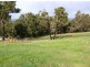 Lot 164 Manor Ridge, Bridgetown WA 6255