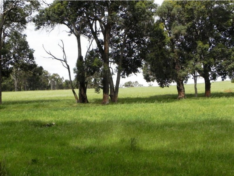 Lot 2 Lowe Road, Glenlynn, Bridgetown WA 6255