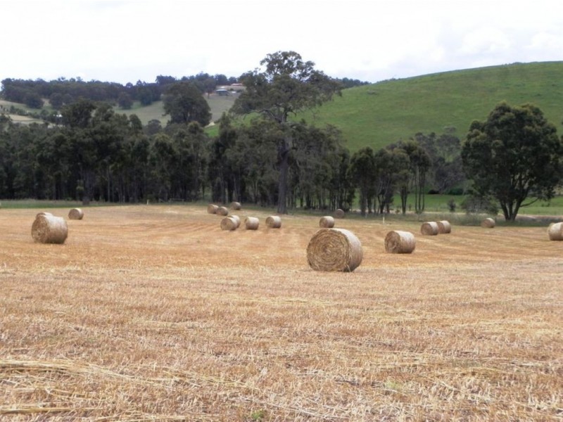 Lot 2 Lowe Road, Glenlynn, Bridgetown WA 6255