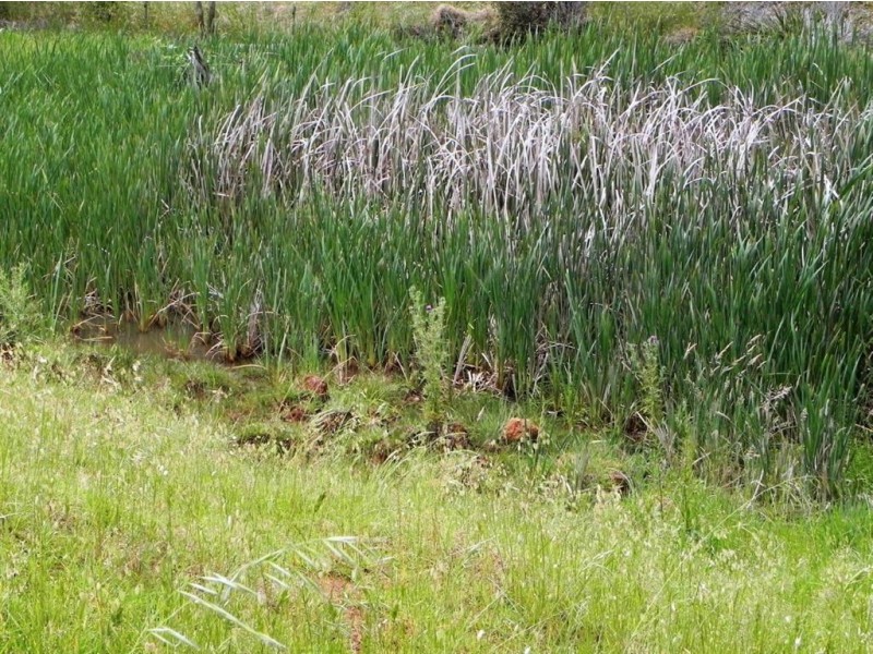 Lot 2 Lowe Road, Glenlynn, Bridgetown WA 6255