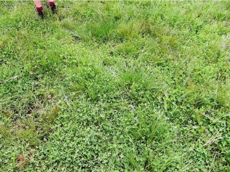 Lot 2 Lowe Road, Glenlynn, Bridgetown WA 6255