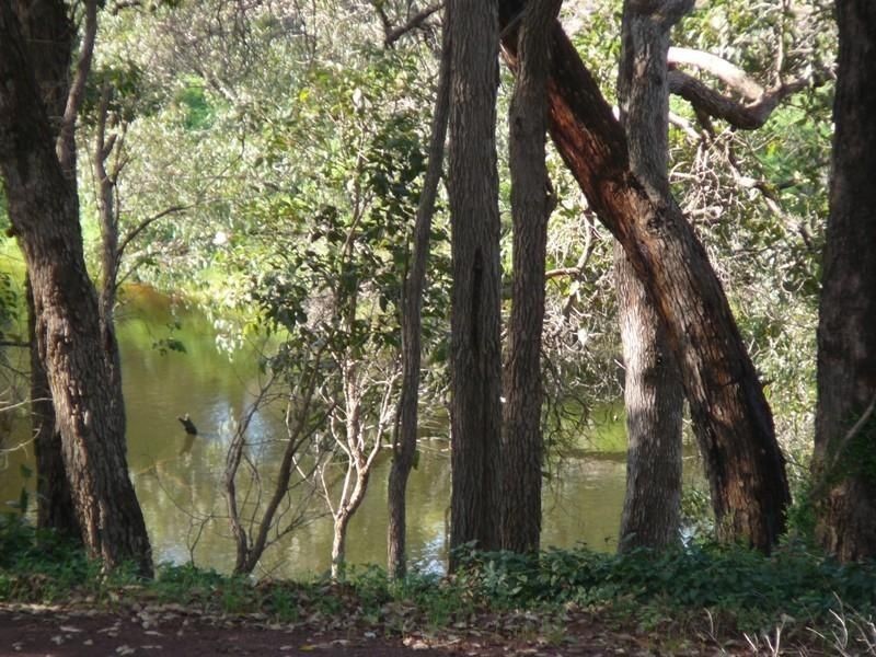 115 West Blackwood Terrace, Bridgetown WA 6255