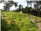 Lot 8 Windy Hollow Vale, Bridgetown WA 6255