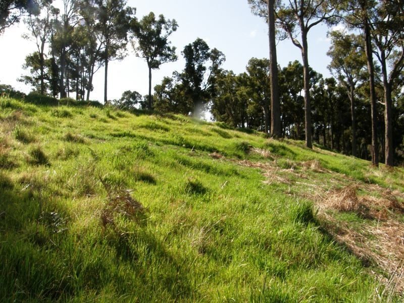 Lot 8 Windy Hollow Vale, Bridgetown WA 6255