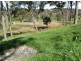 Lot 8 Windy Hollow Vale, Bridgetown WA 6255