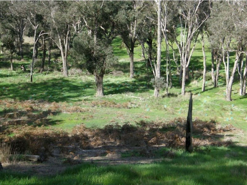 Lot 9 Windy Hollow Vale, Bridgetown WA 6255