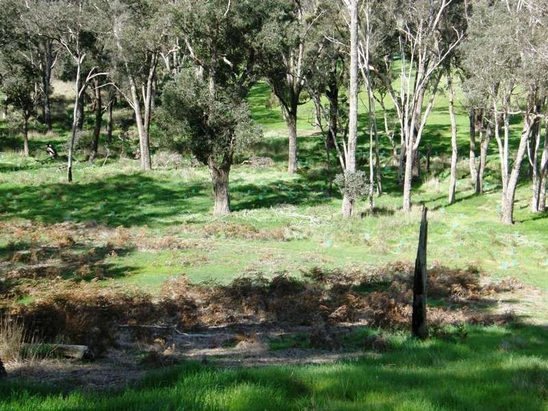 Lot 9 Windy Hollow Vale, Bridgetown WA 6255