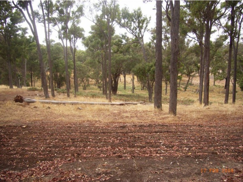Lot 9 Windy Hollow Vale, Bridgetown WA 6255