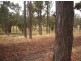 Lot 9 Windy Hollow Vale, Bridgetown WA 6255