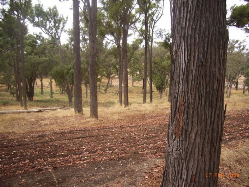 Lot 9 Windy Hollow Vale, Bridgetown WA 6255