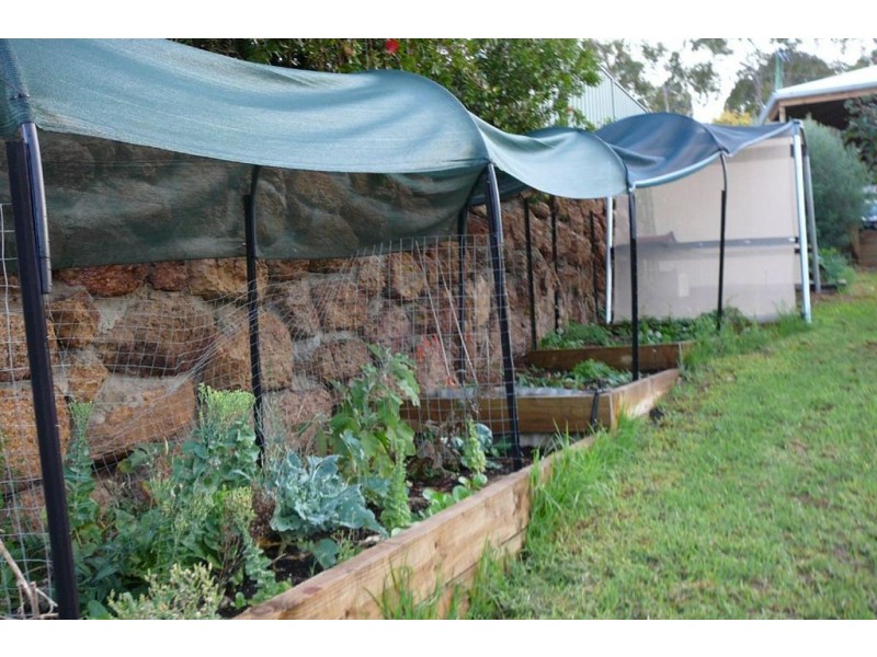 16 Inglis street, Boyup Brook WA 6244