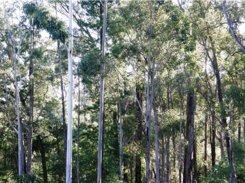 9 Hester Road, Hester WA 6255