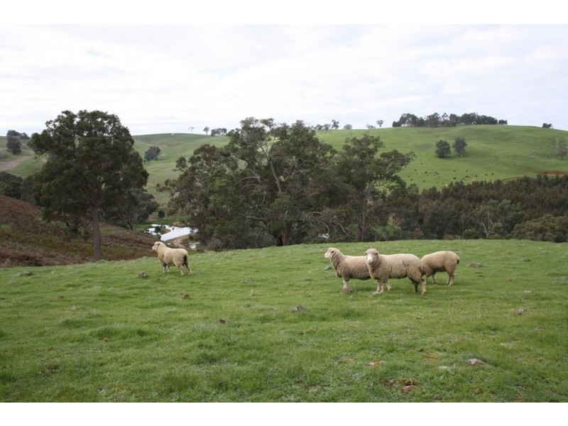Lot 2 Wheatley Giblett Road, Winnejup WA 6255