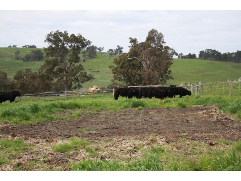 Lot 2 Wheatley Giblett Road, Winnejup WA 6255