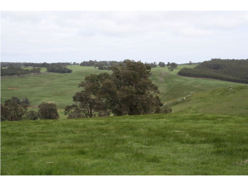 1088 Carbunup Brook Road, Bridgetown WA 6255