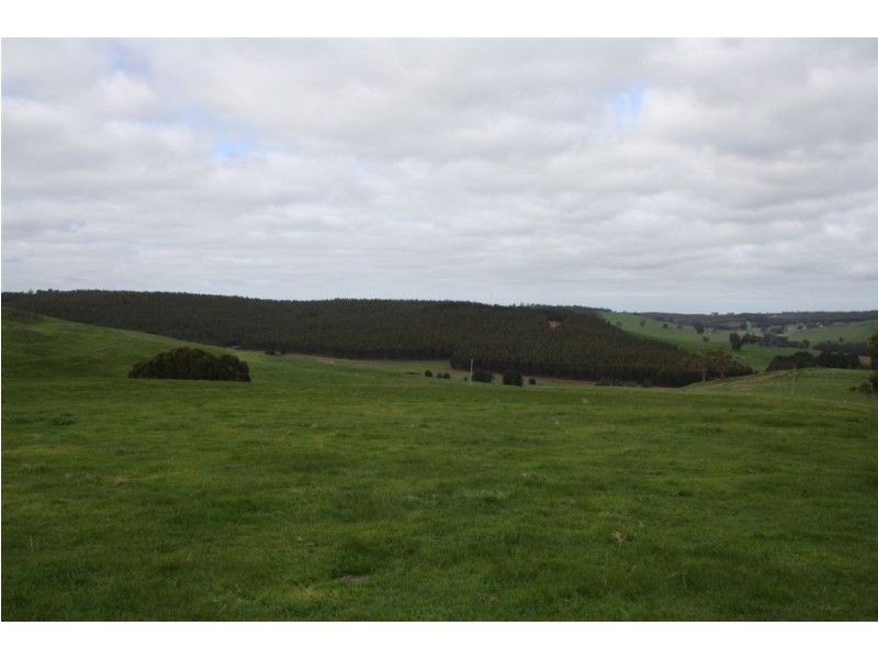 1088 Carbunup Brook Road, Bridgetown WA 6255