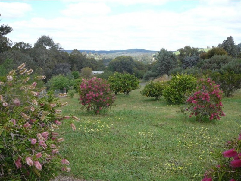 56 Balinga Drive, Balingup WA 6253