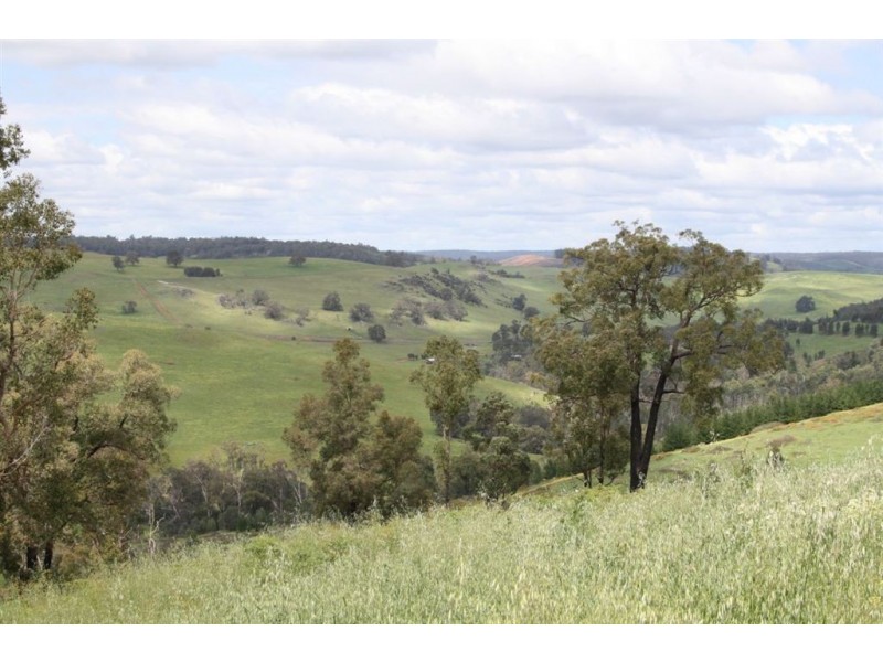 9 Riverview Close, Bridgetown WA 6255